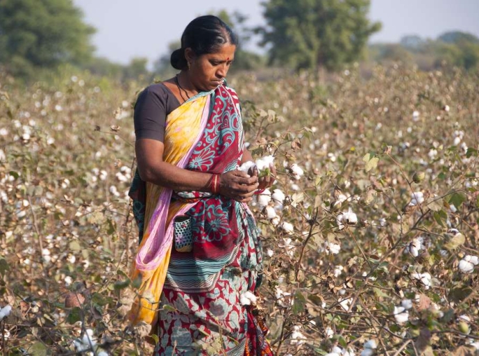 Indian Textile Industry Faces Crisis Due to Rising Cotton Prices